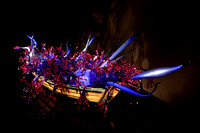 Dale Chihuly Exhibit