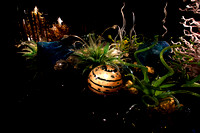 Dale Chihuly Exhibit